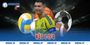 Kèo 1-1/4 Là Gì Và Cách Tính Kèo Chuẩn Xác Nhất